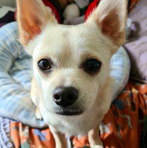 Meet your Posher, Laura